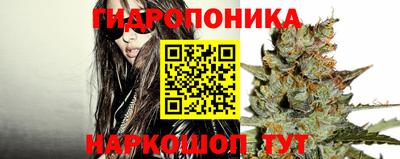 винт Владимир
