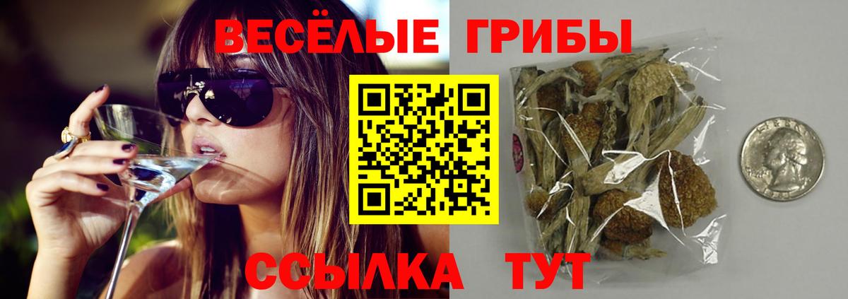 Псилоцибиновые грибы Psilocybine cubensis  Вход с VPN  Городец 